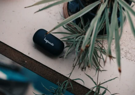 Day Advantages End Sufficient Eat Expression